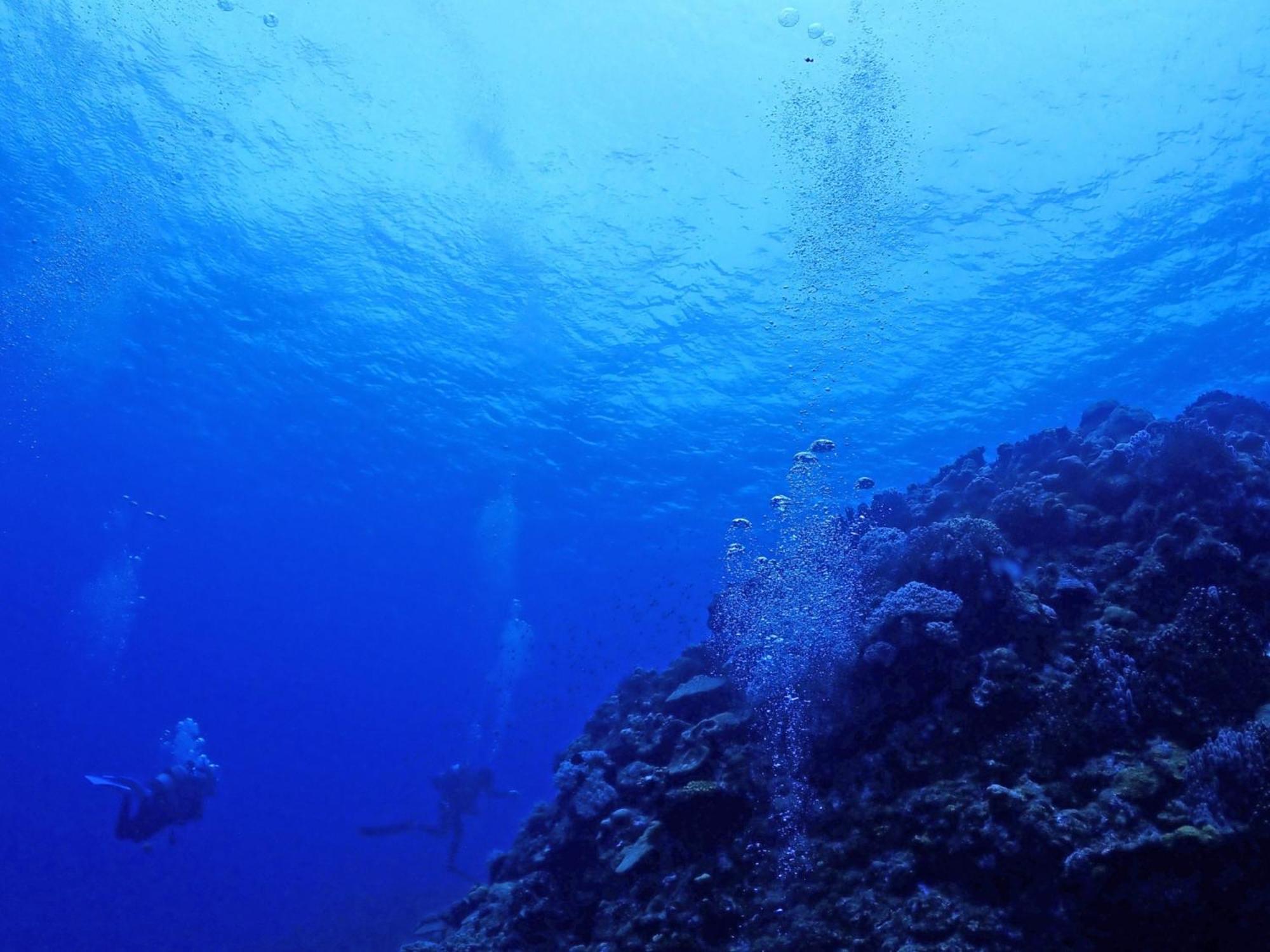 石垣島グループの宿 2216 にじいろ ユーグレナモール内 Ishigaki  Exteriér fotografie